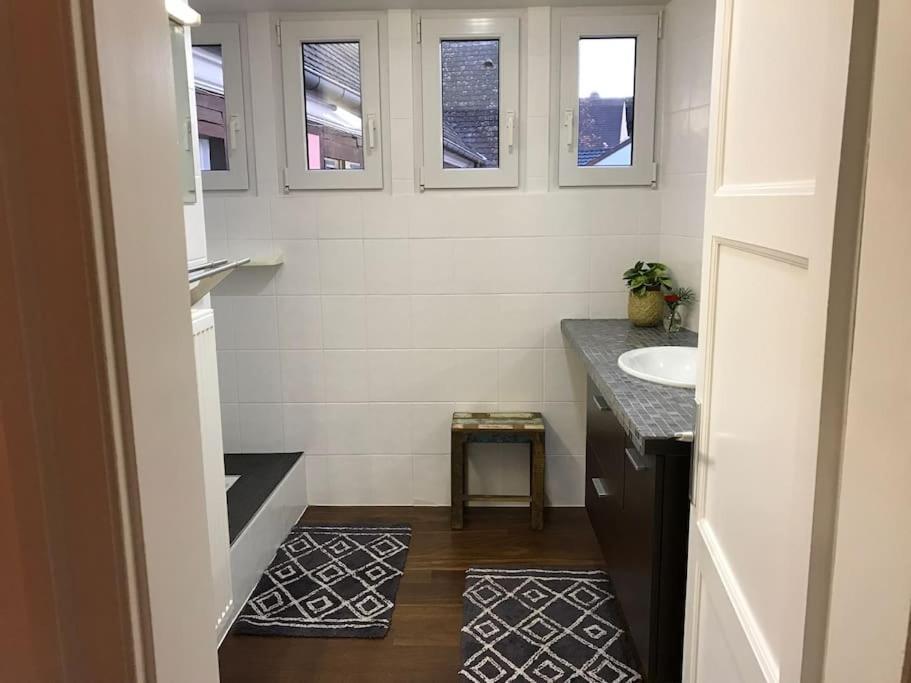 Apartament * La Petite Alsacienne * Ammerschwihr Zewnętrze zdjęcie
